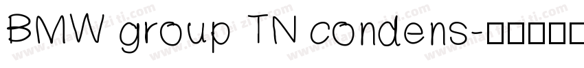 BMW group TN condens字体转换